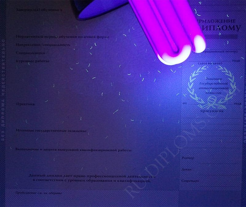Диплом бакалавра 1997-2003 год  